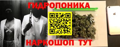 прущие грибы Наро-Фоминск