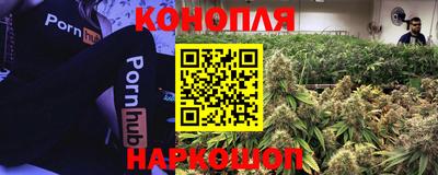 СК Нальчик