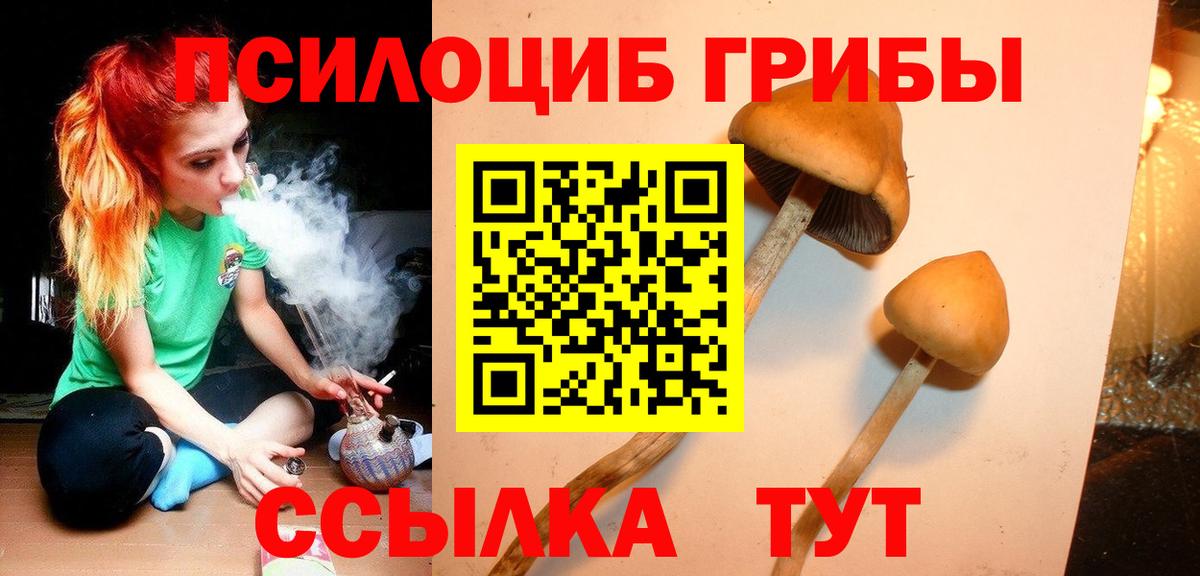 Скопин  Галлюциногенные грибы мухоморы  Вход с VPN 